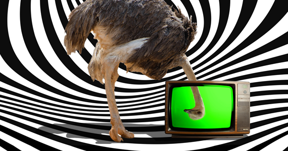 Anna_Knott_570x300_1