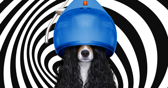 Anna_Knott_570x300_1