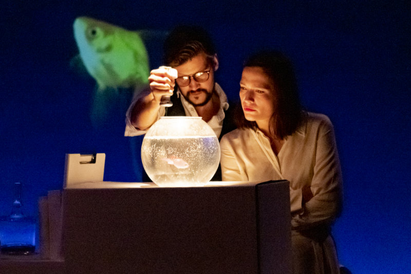 Kasimir%20und%20Kaukasus 6823