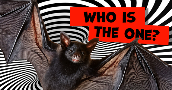 Anna_Knott_570x300_1